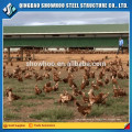 Baixo Custo Poultry Farm House Design Layers Shed Chicken Farm Buildings